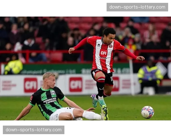 热刺一线队伤病名单多达10人，保级形势严峻